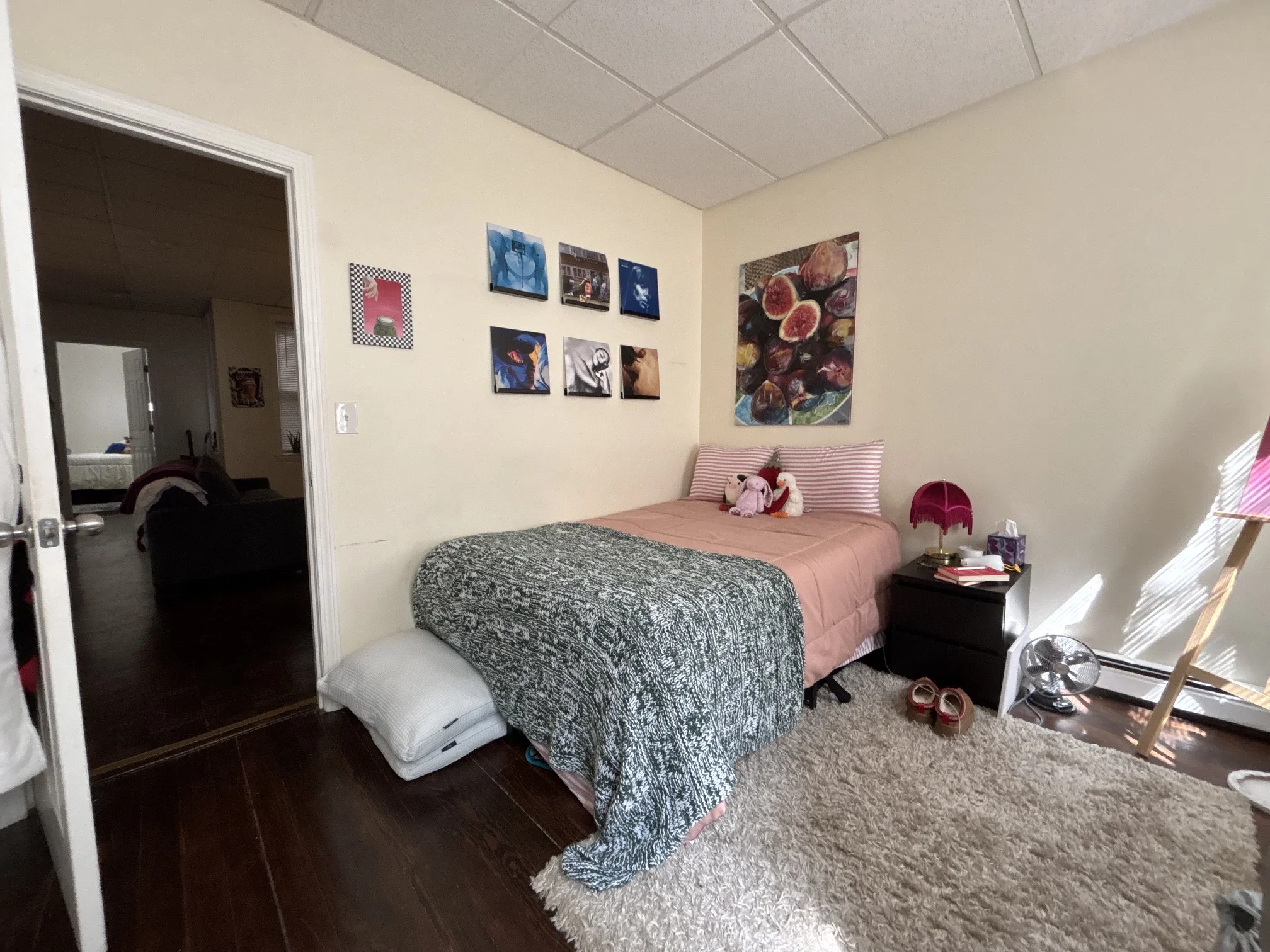 9 Grove St, Beacon Hill