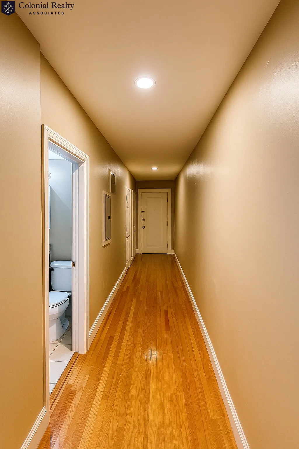 60 Egmont St, North Brookline