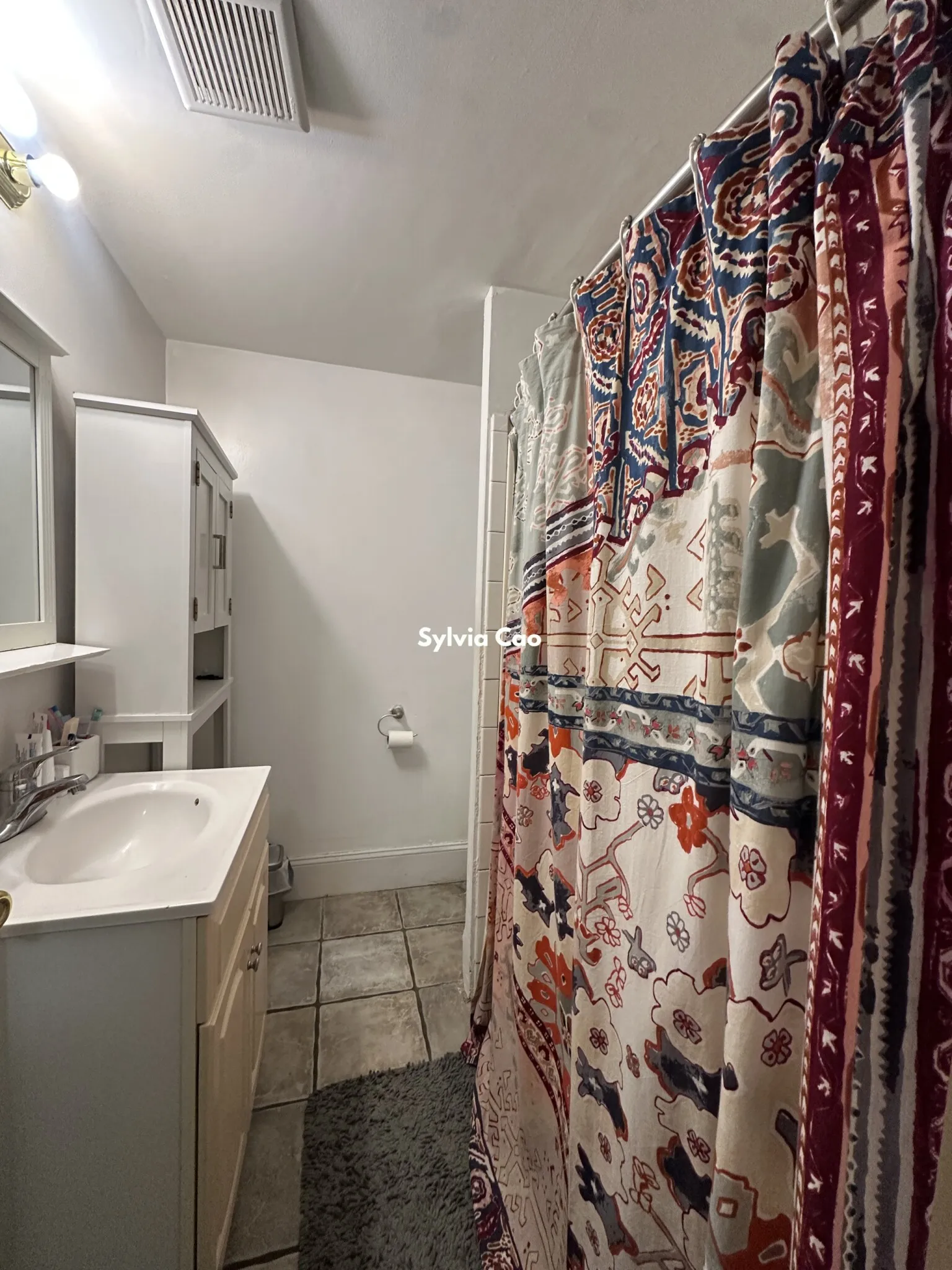 54 Egmont St, North Brookline