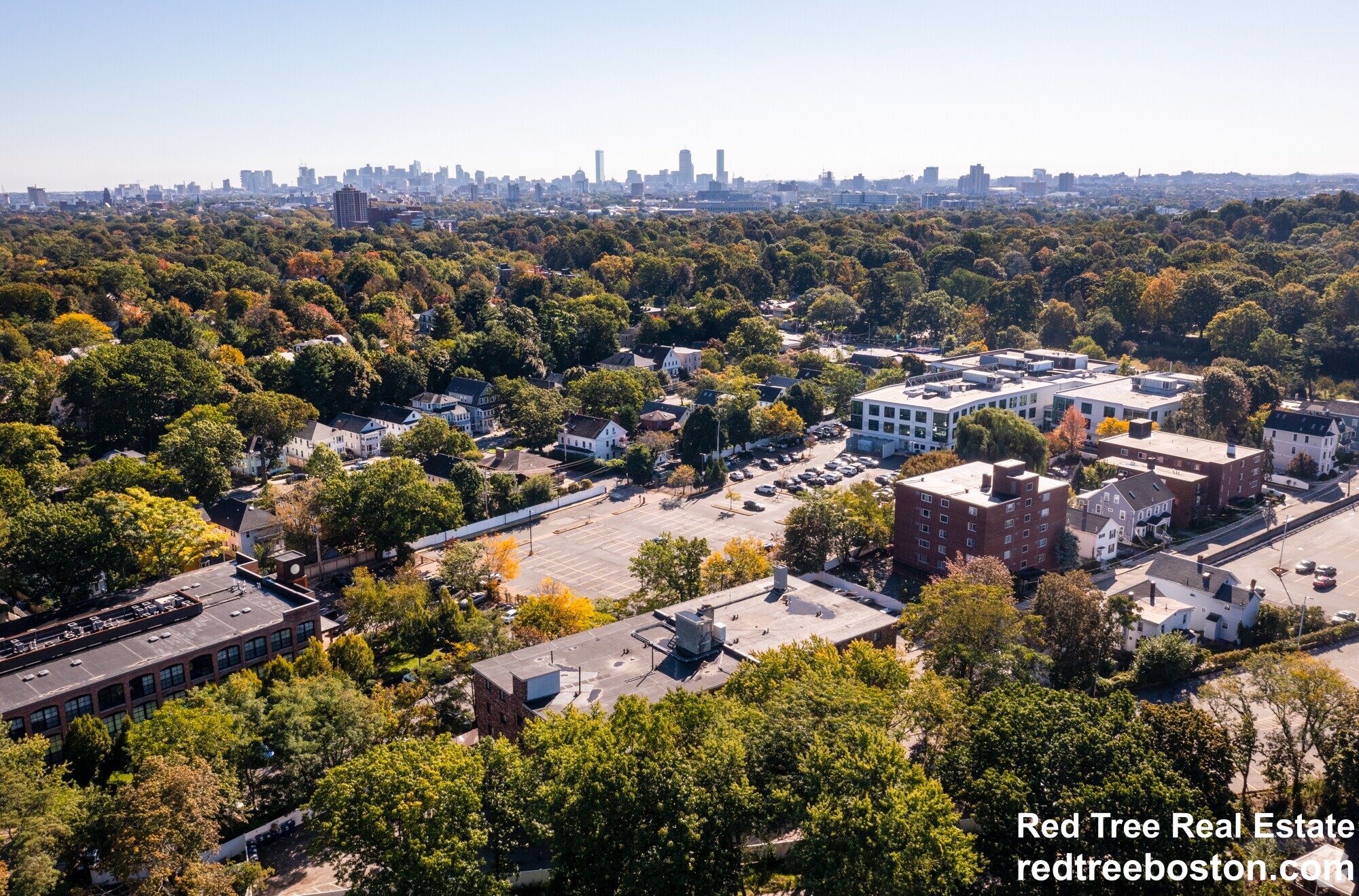 66 Homer Ave, West Cambridge