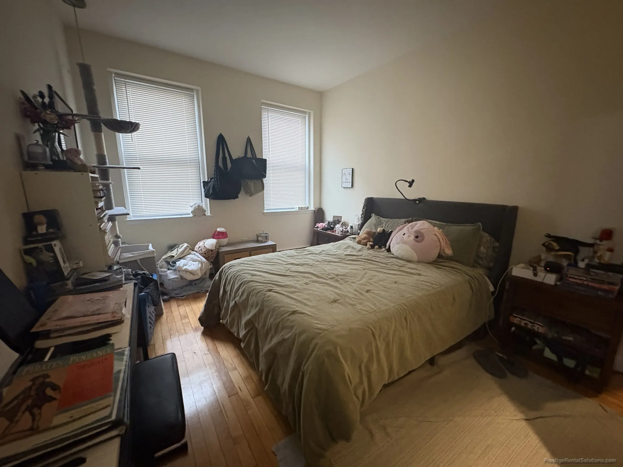 64 Brighton Ave, Brighton