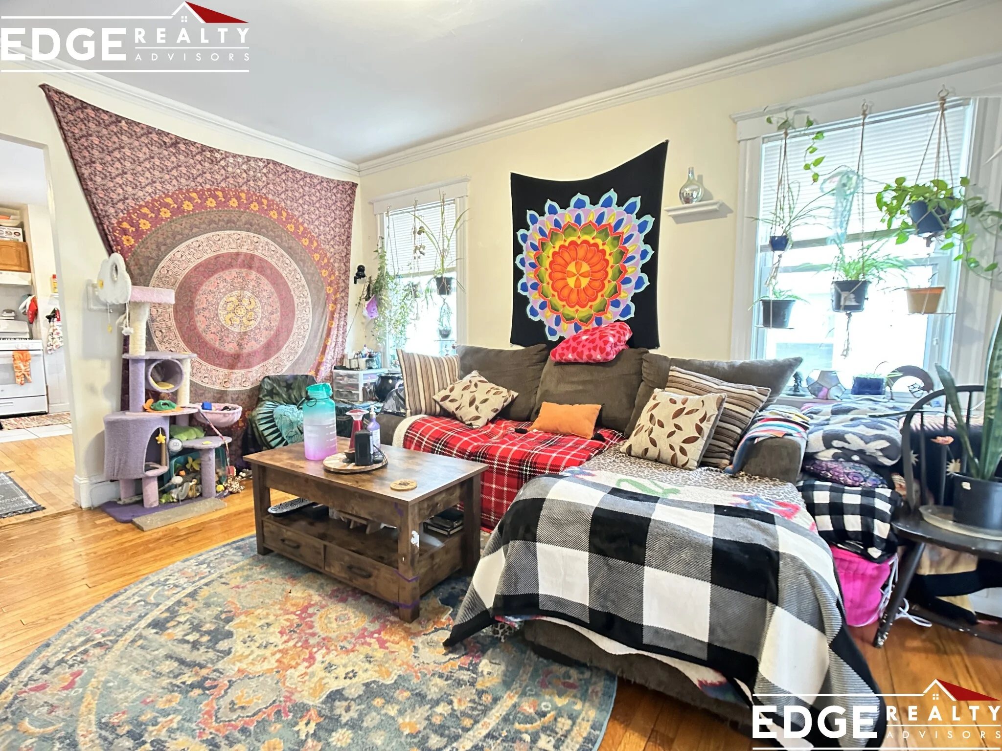 218 Foster St, Brighton