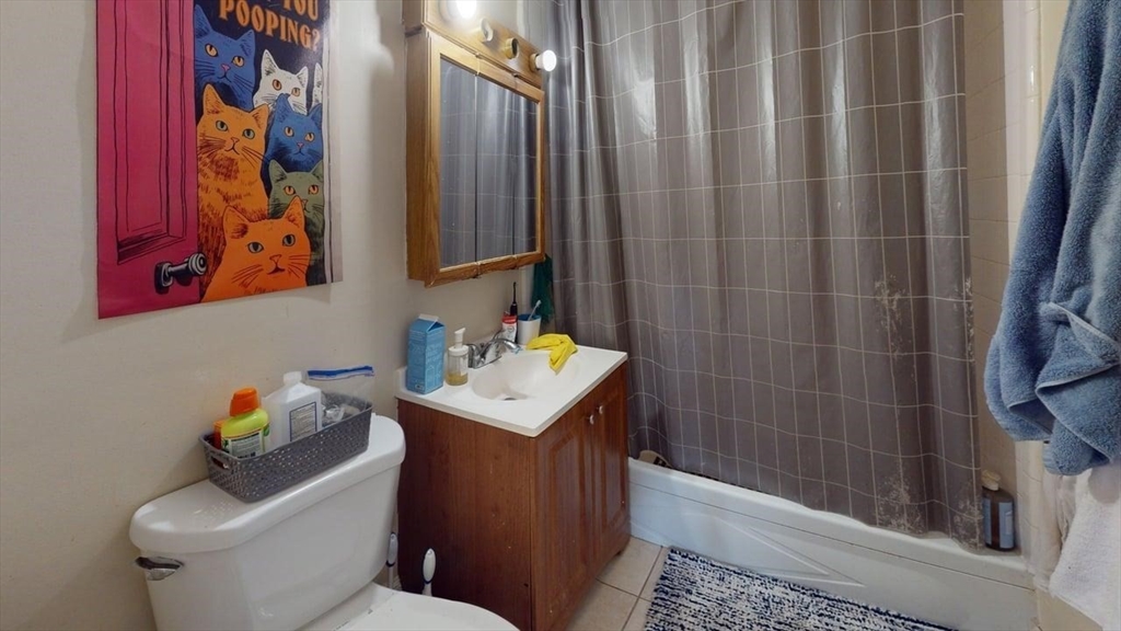 357 Fanueil St, Brighton