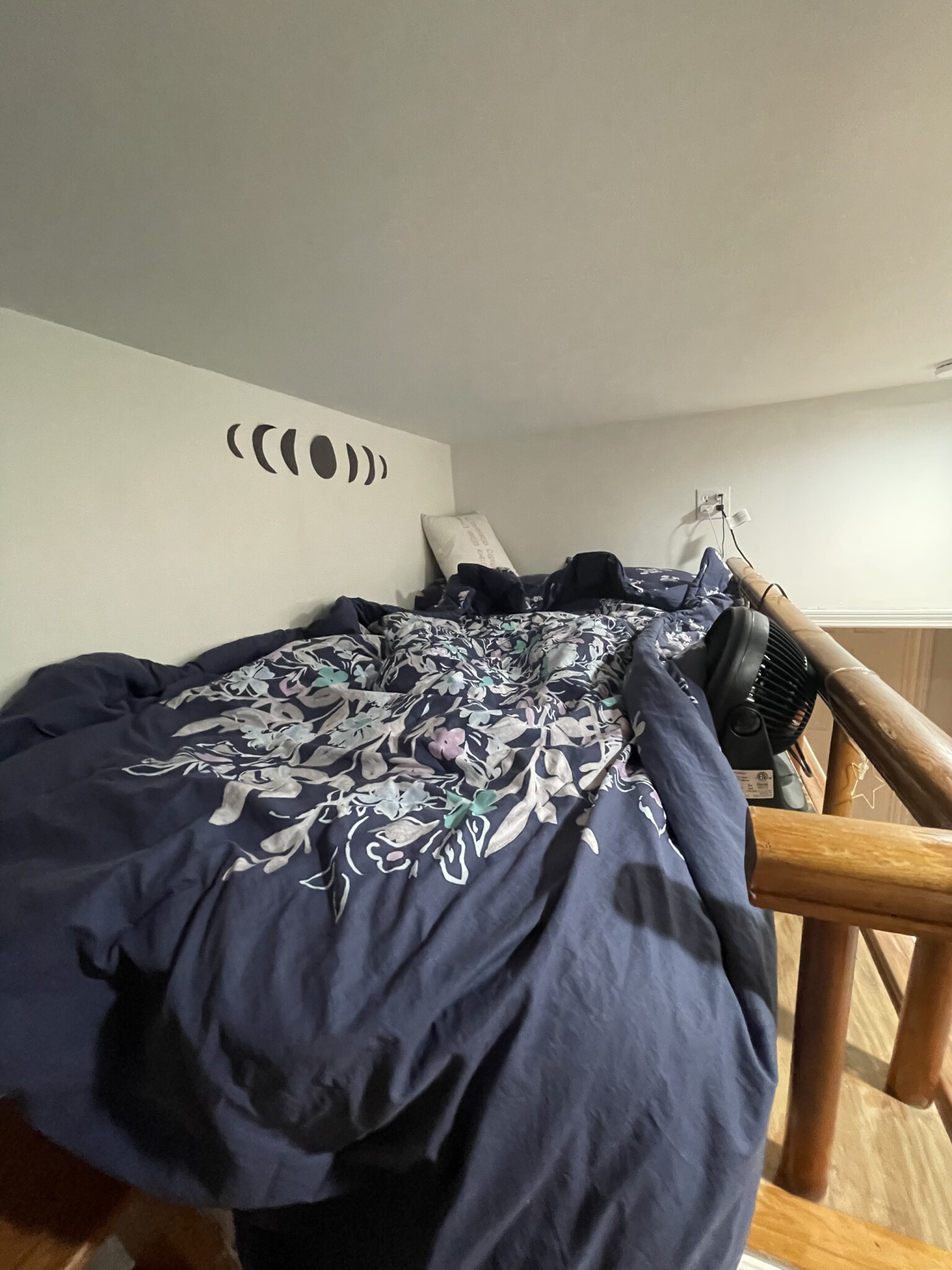 17 Aberdeen St, Fenway