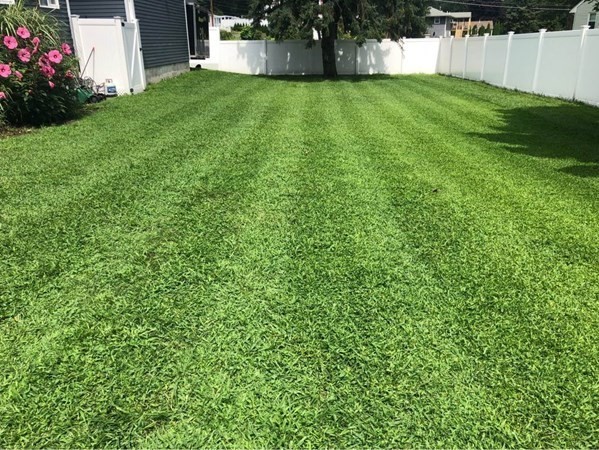 107 Lexington St, Burlington