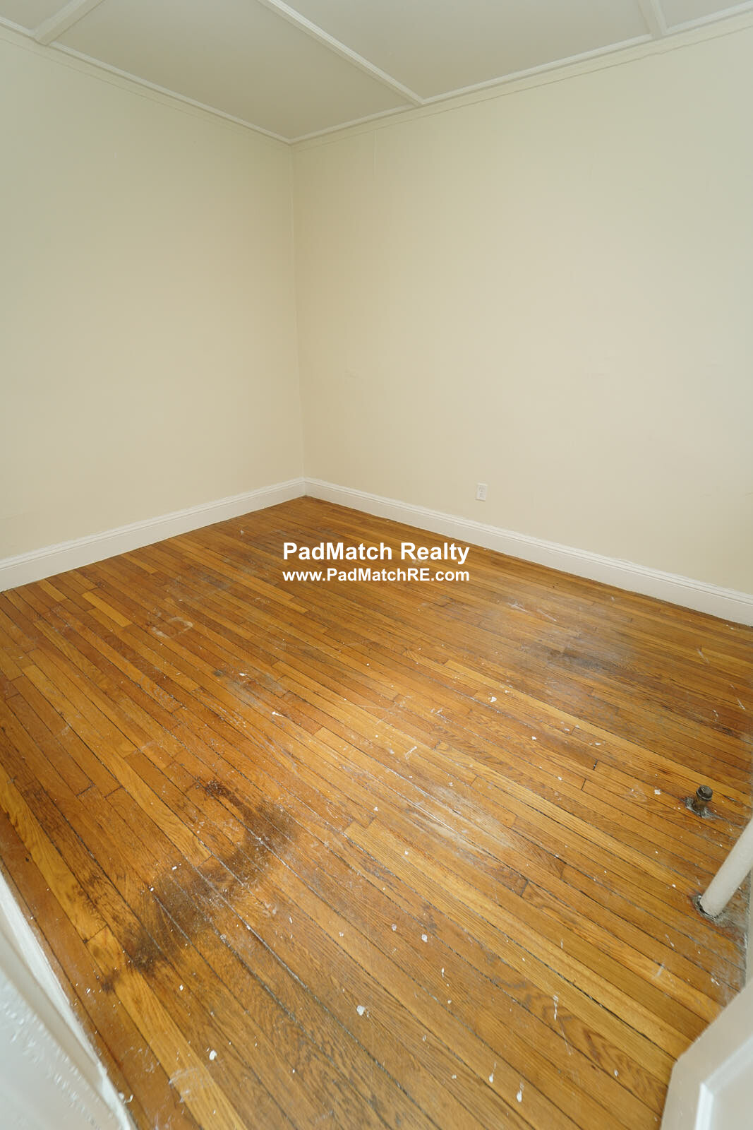 1175 Boylston St, Fenway