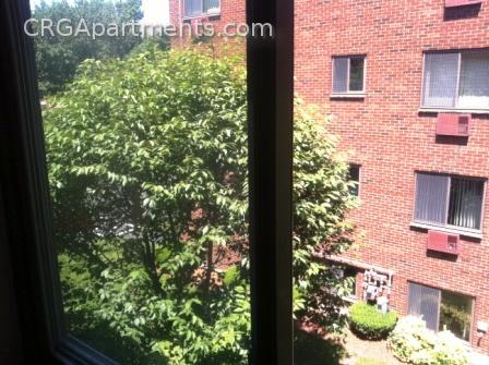 9 Chester St, North Cambridge