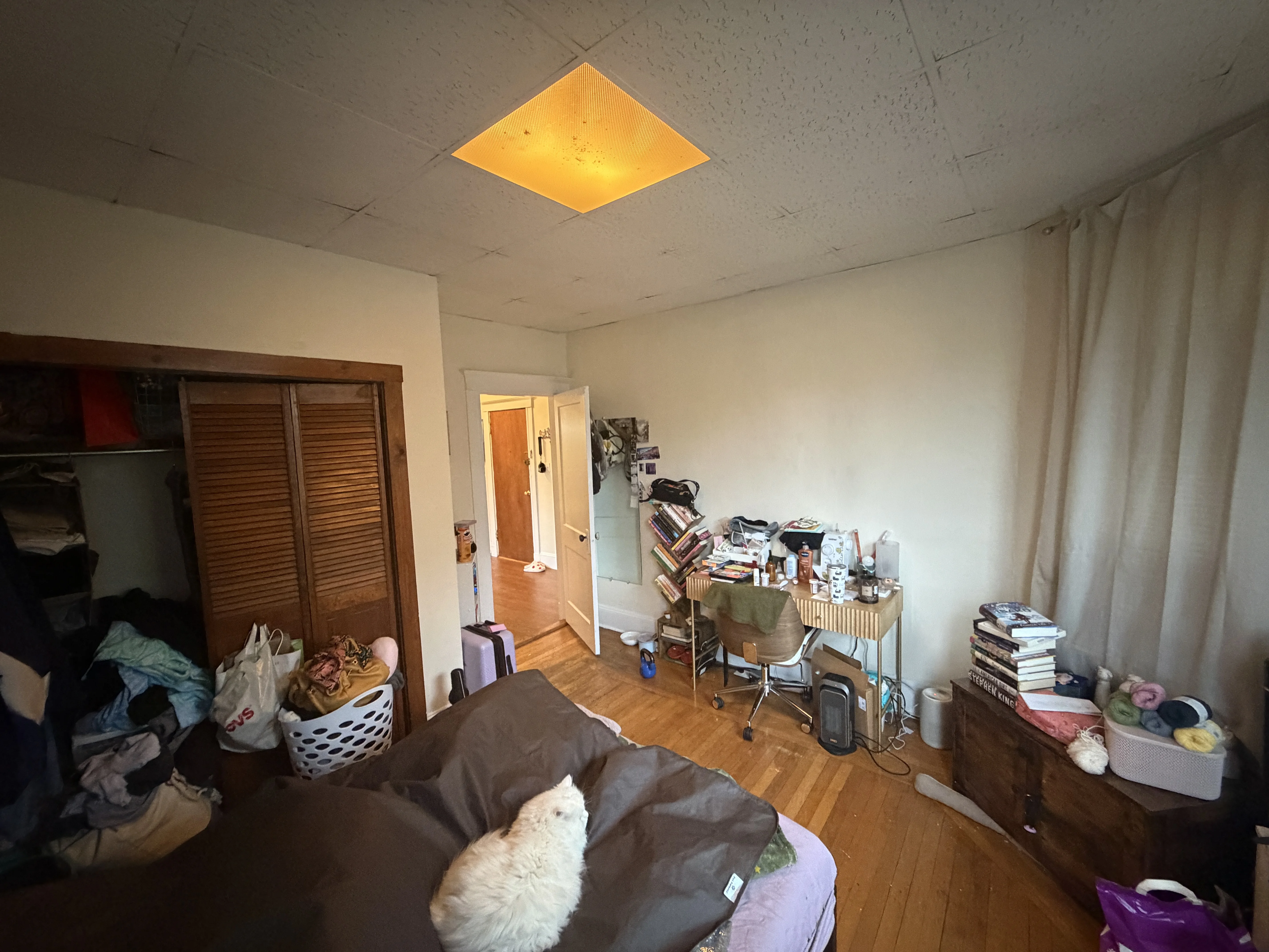 75 Nottinghill Rd, Brighton