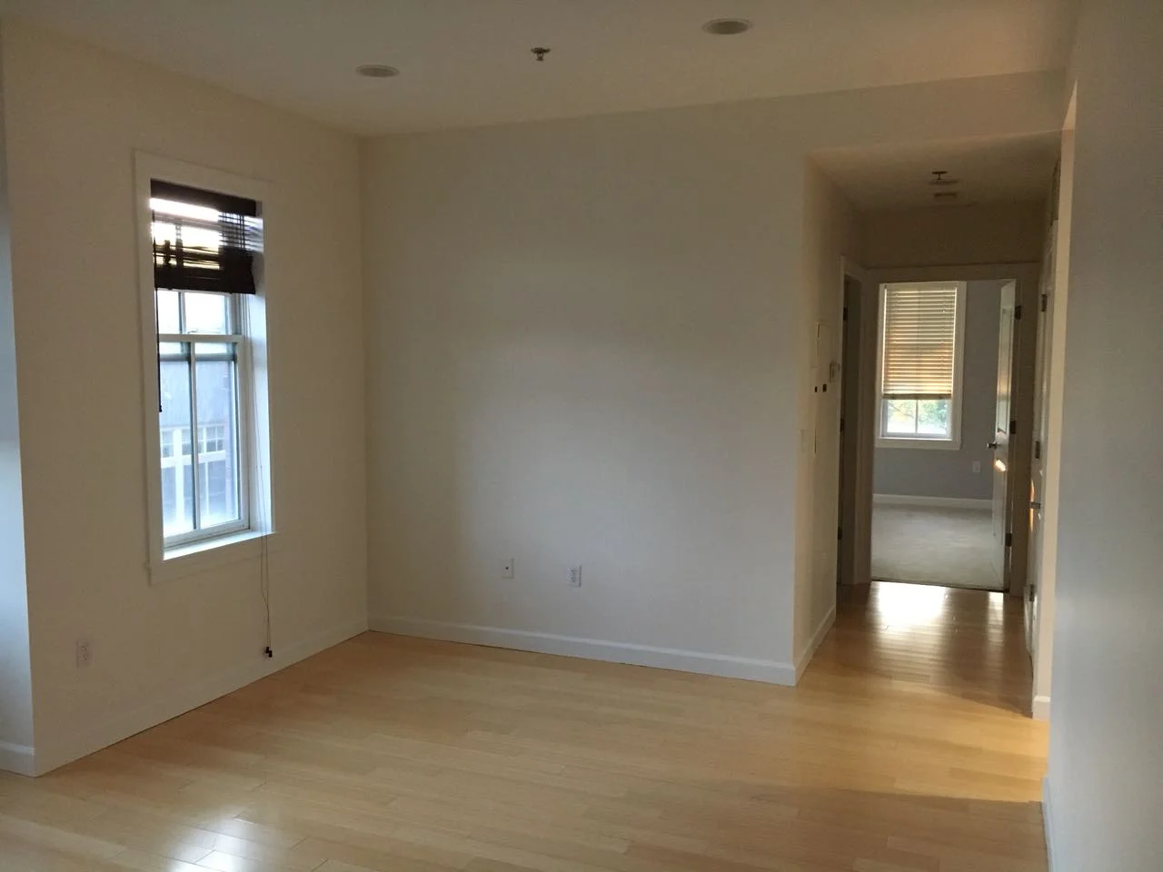 163 Chestnut Hill Ave, Brighton