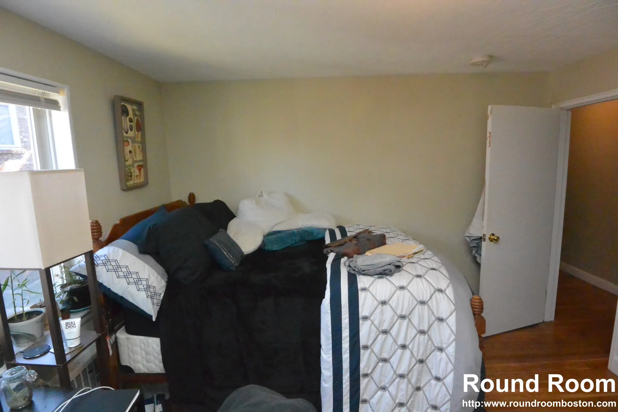 271 Corey Rd, Brighton
