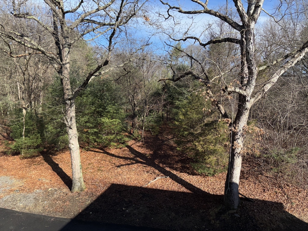 171 Ware St, Mansfield