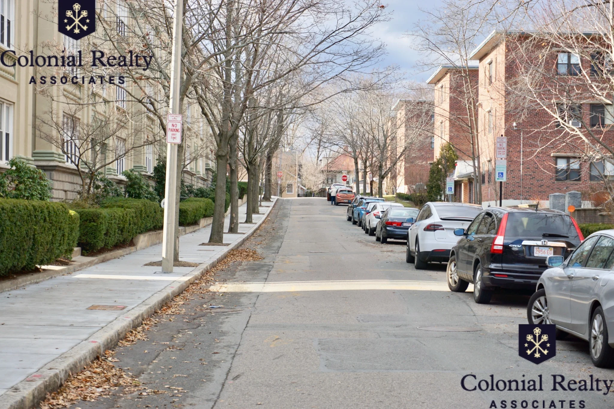 72 Egmont St, North Brookline