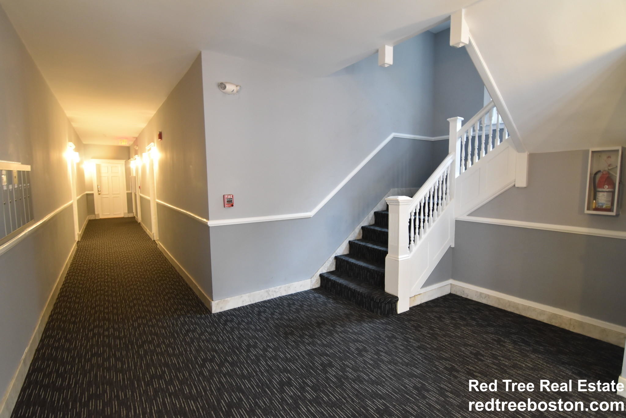 15 Colborne Rd, Brighton