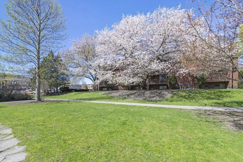 144 Kenrick St, Oak Square