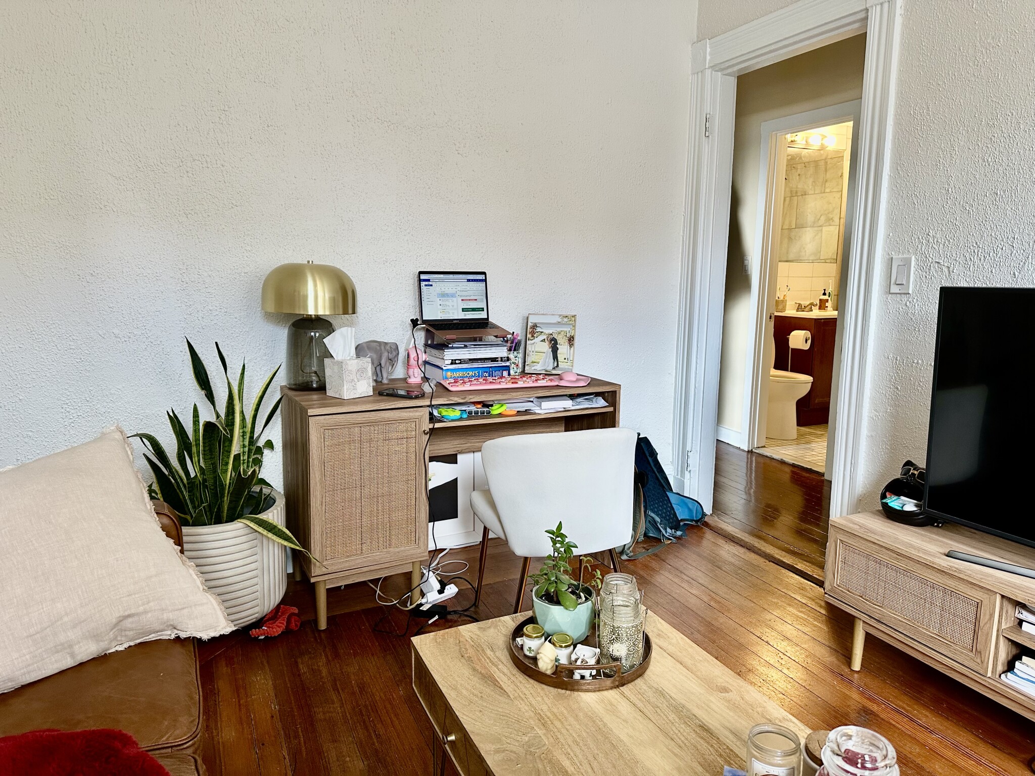 108 Myrtle St, Beacon Hill