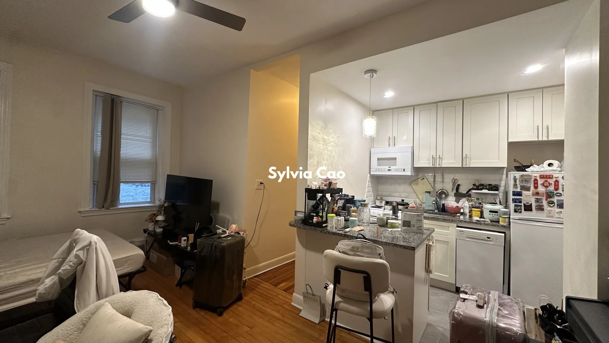 56 Brighton Ave, Brighton