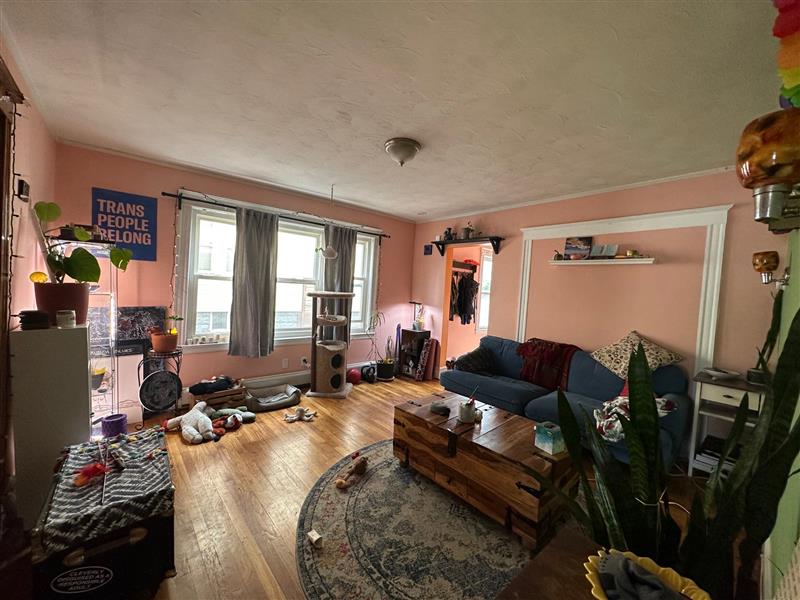 35 Edgar Ave, Winter Hill