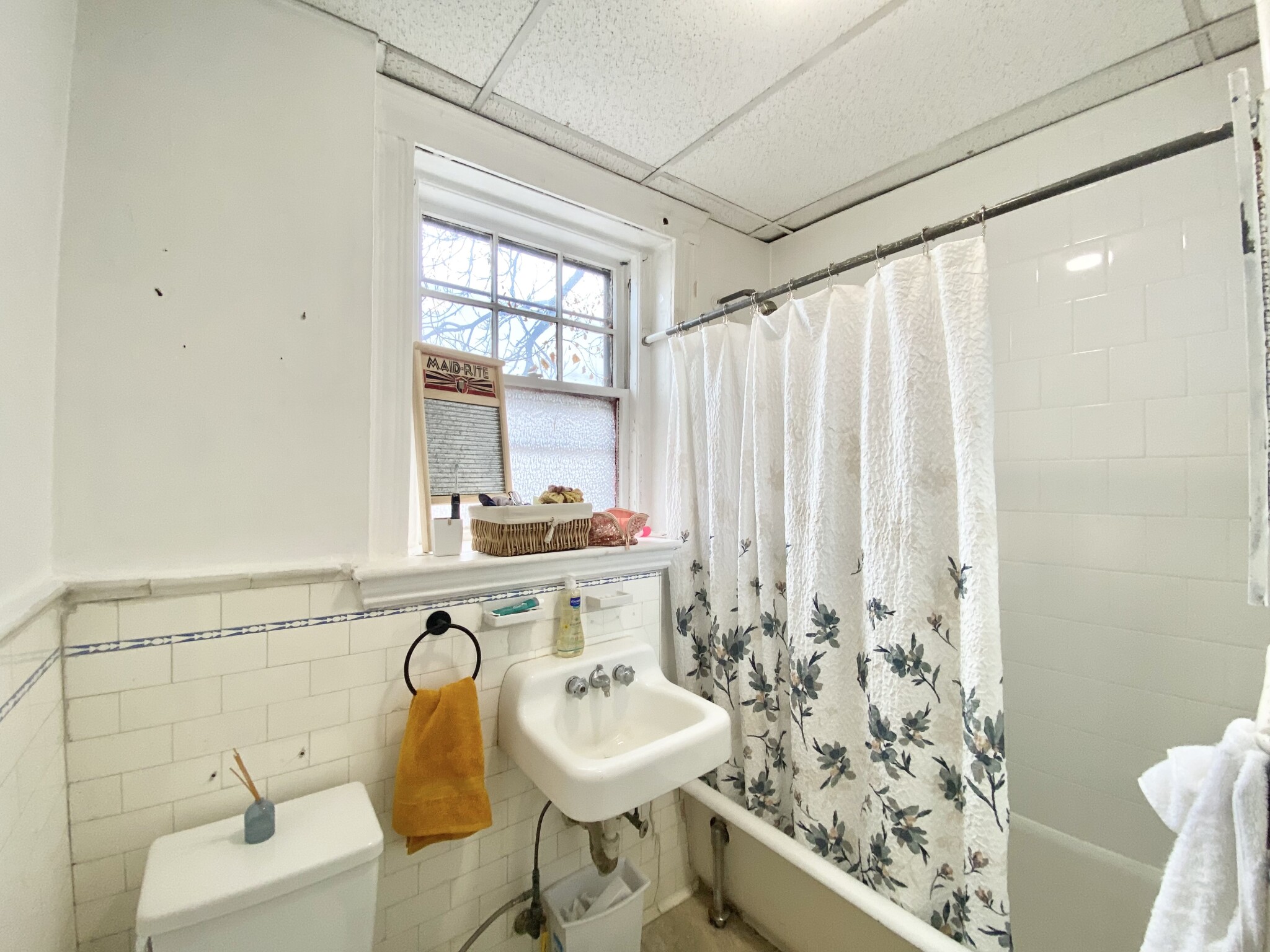 1 bed, 1 bath apartment for rent at 9 James St Unit 4, Coolidge Corner — photo 3 of 3