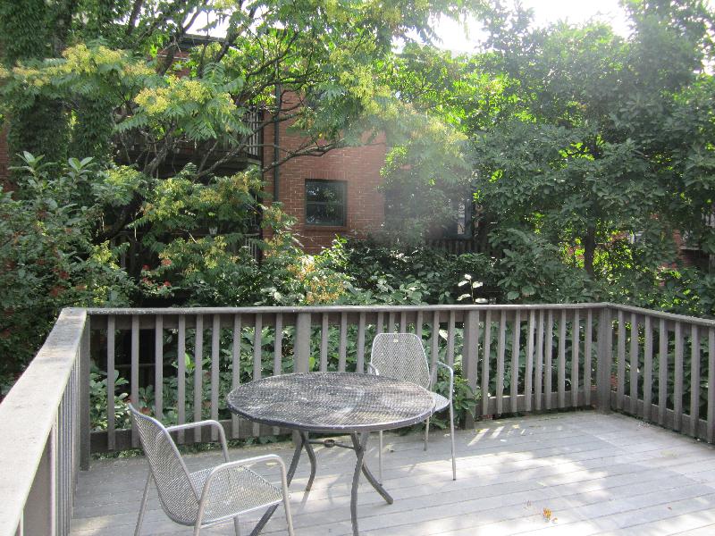 1 bed, 1 bath apartment for rent at 343 Tremont St Unit 2, Back Bay — photo 1 of 9