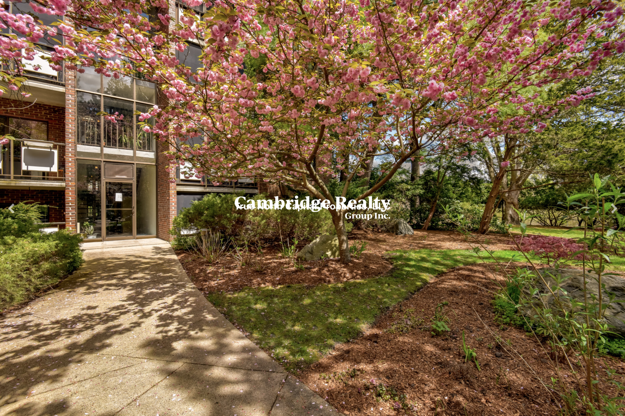 2 bed, 1.5 bath apartment for rent at 32 Normandy Ave Unit 308, North Cambridge — photo 9 of 9
