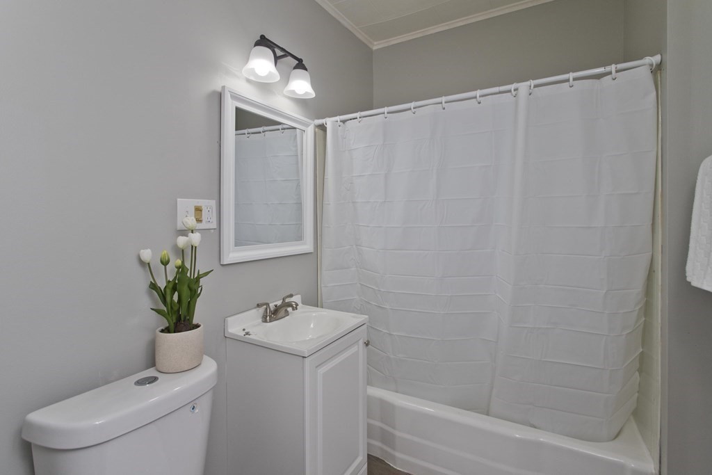 54 Draper St, Forest Park