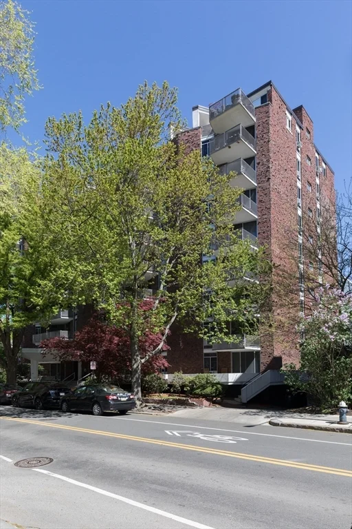 19 Winchester St, Coolidge Corner