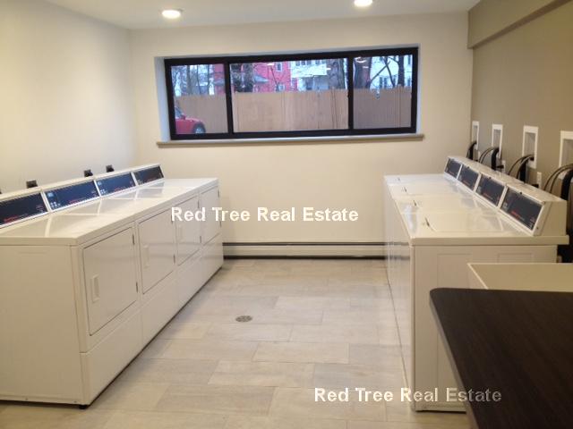 66 Homer Ave, West Cambridge