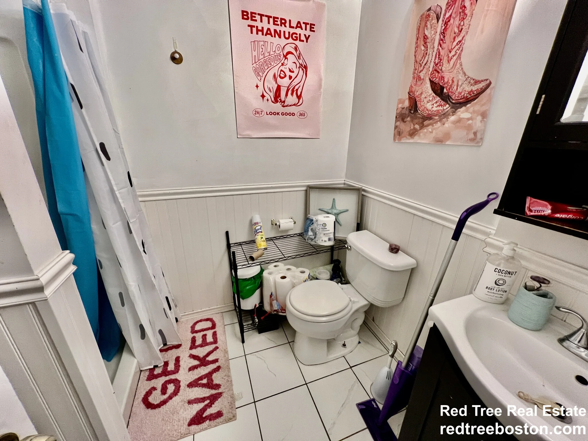 62 Egmont St, North Brookline