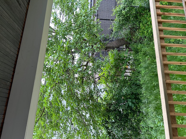 41 Philbrick St, Roslindale