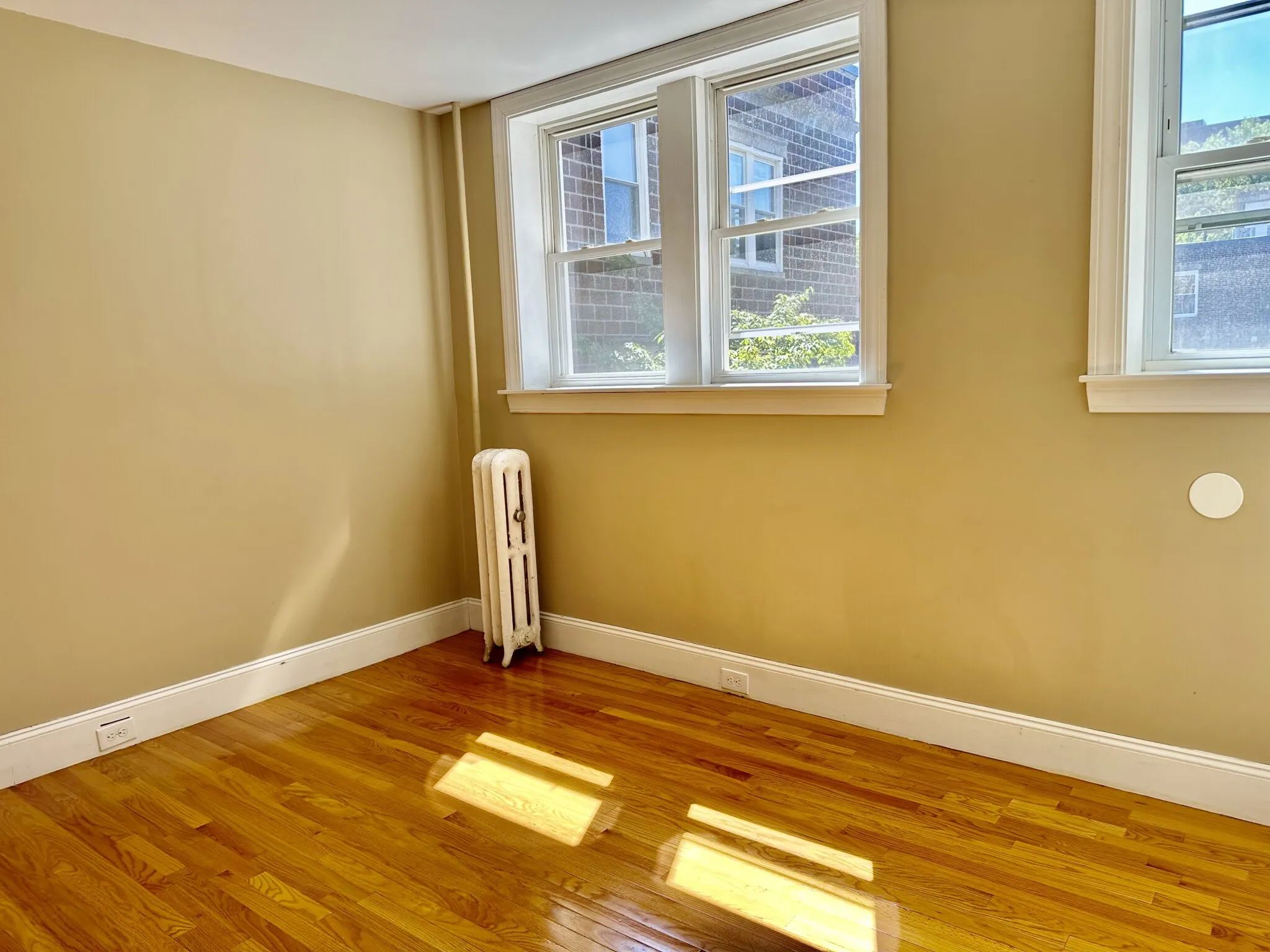 74 Egmont St, North Brookline