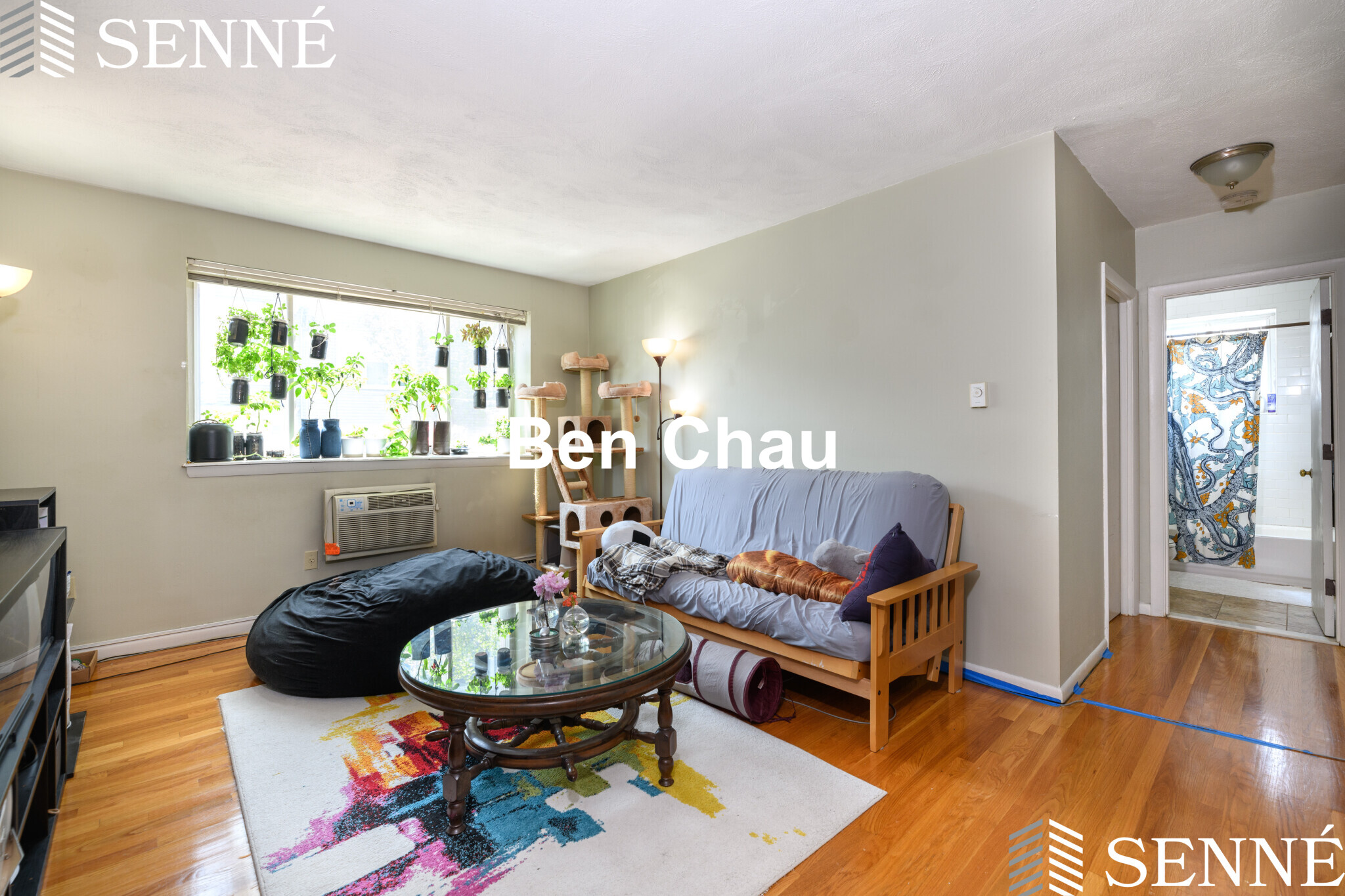 259 Summer St, Spring Hill