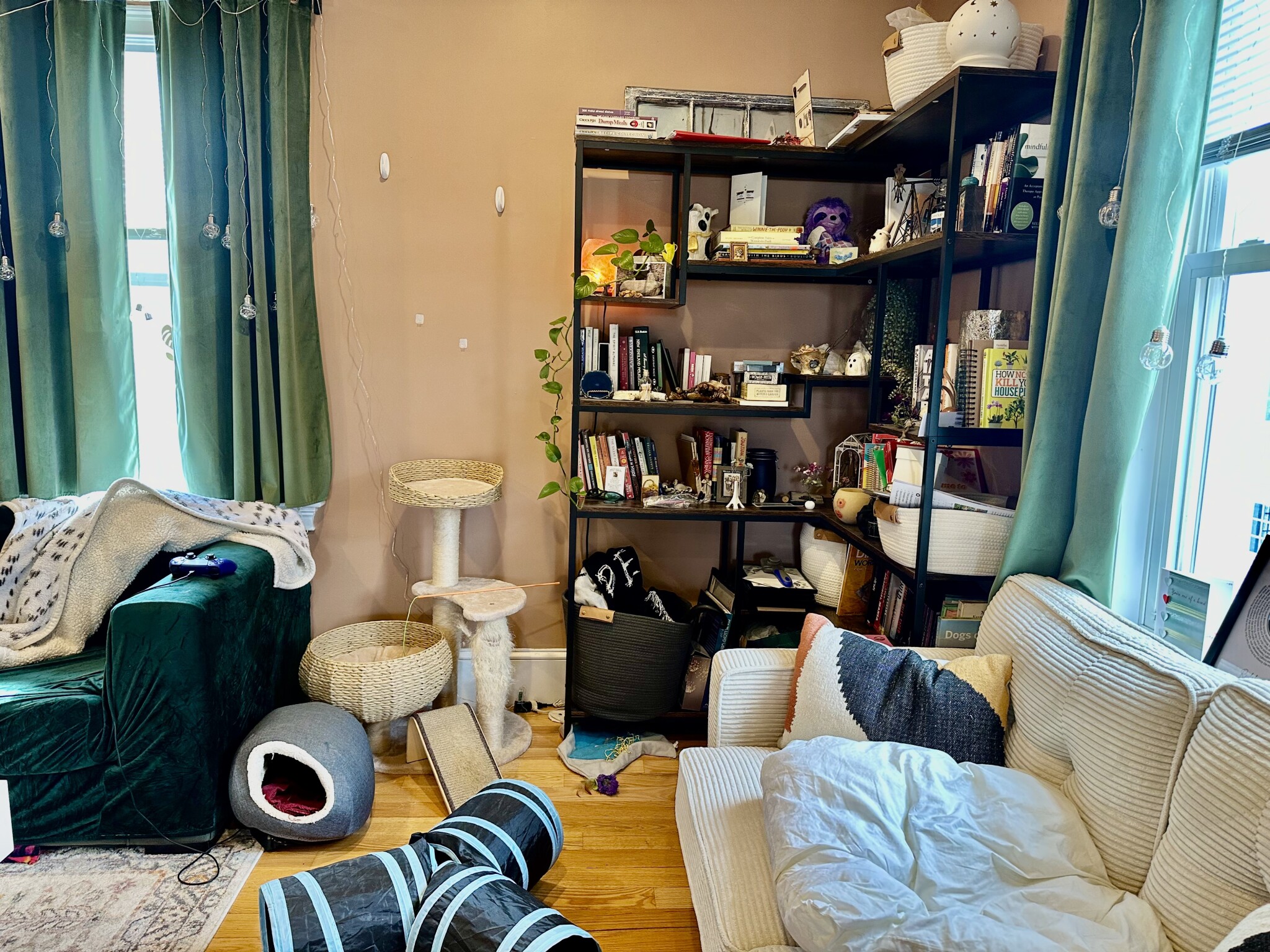 97 Dover St, Davis Square