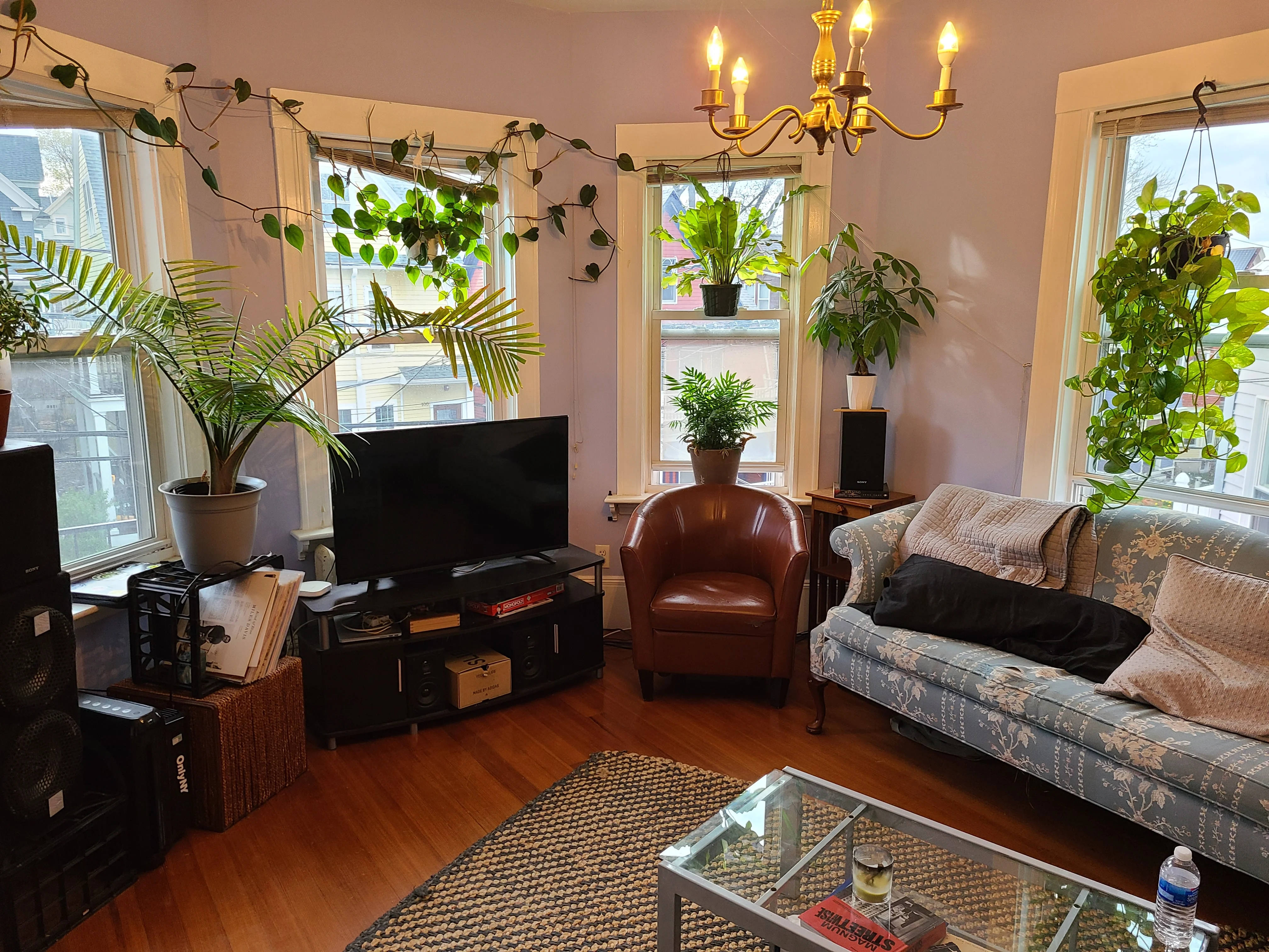 95 Belmont St, Powder House Square