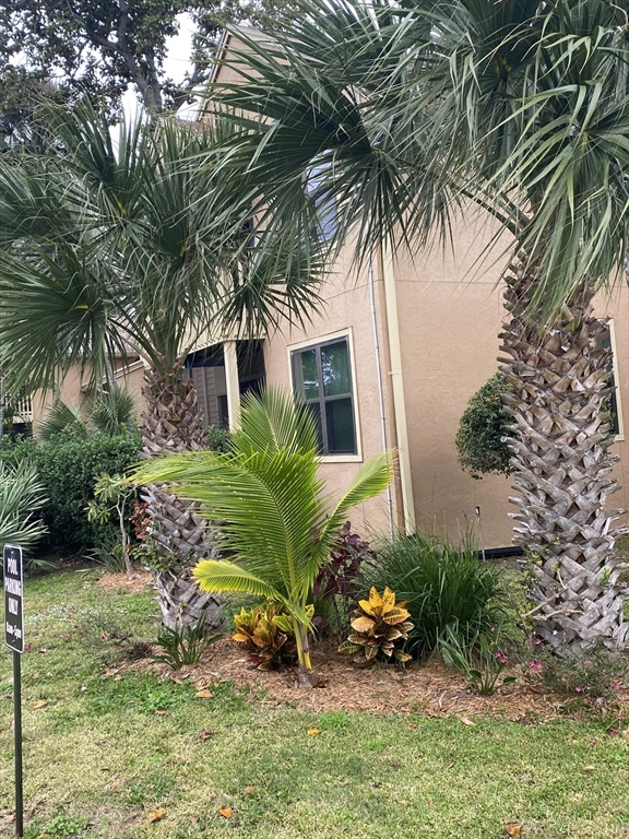 1401 Palmetto, Daytona Beach