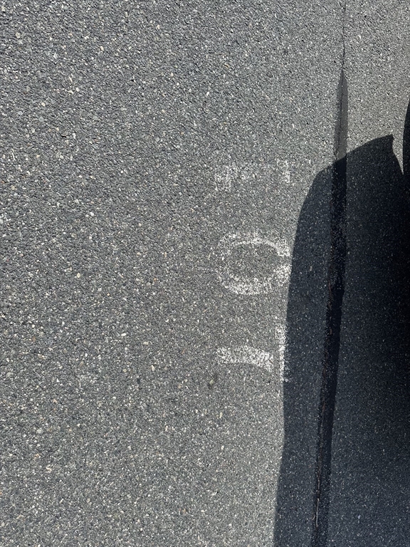 107 Erin Rd, Stoughton