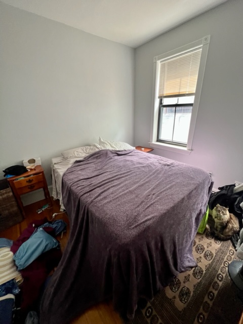 2 bed, 1 bath apartment for rent at 91 East Brookline St Unit 3, South End — photo 3 of 7