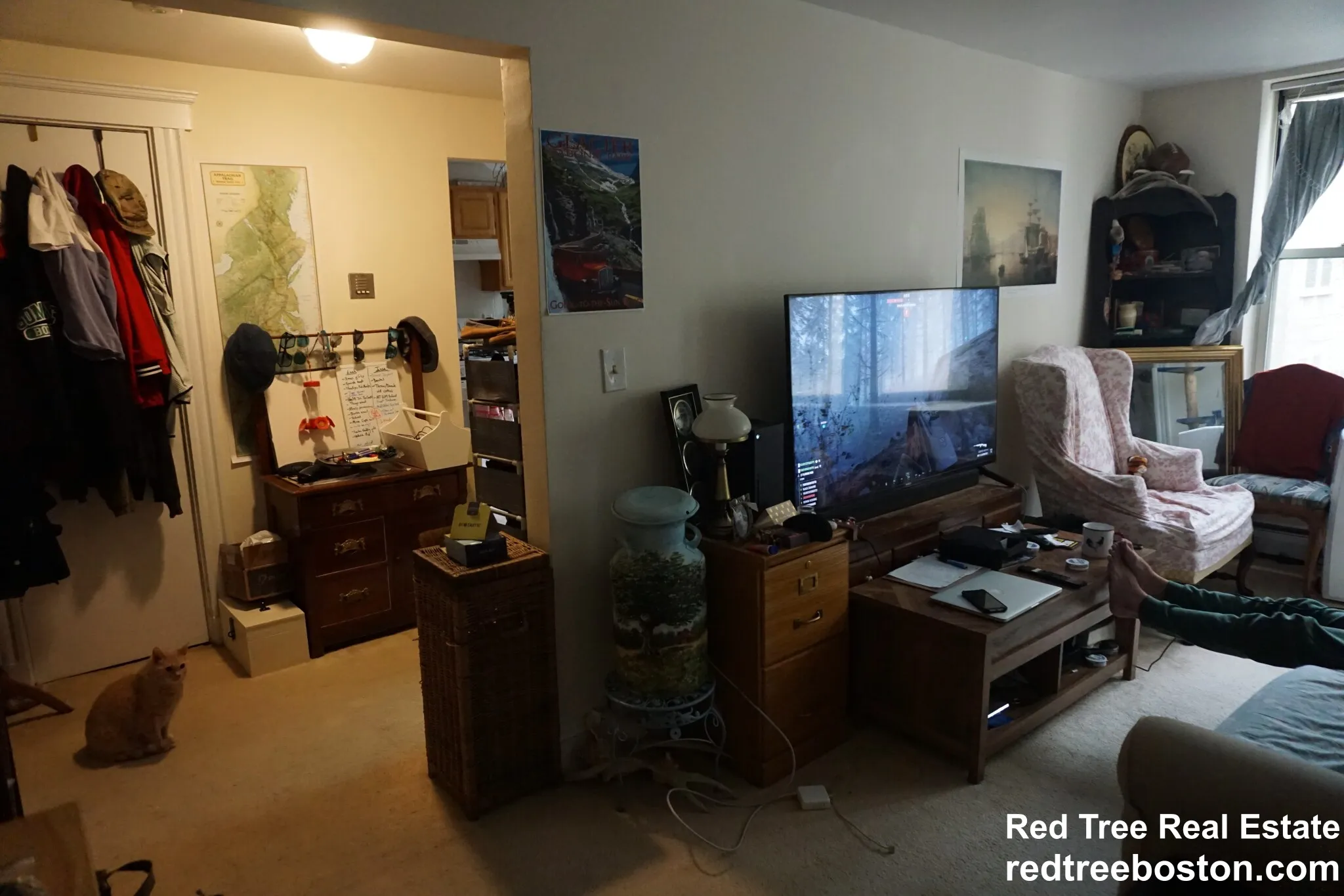 20 Colborne Rd, Brighton