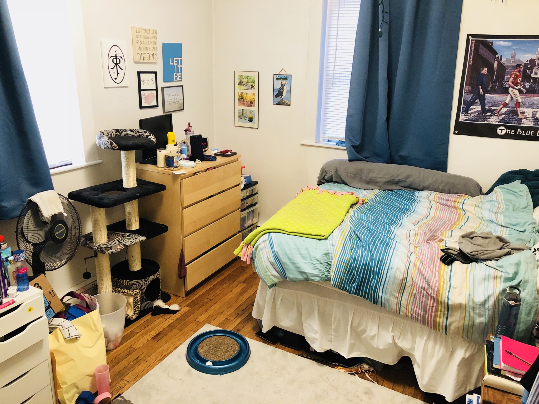 15 Scottfield Rd, Brighton