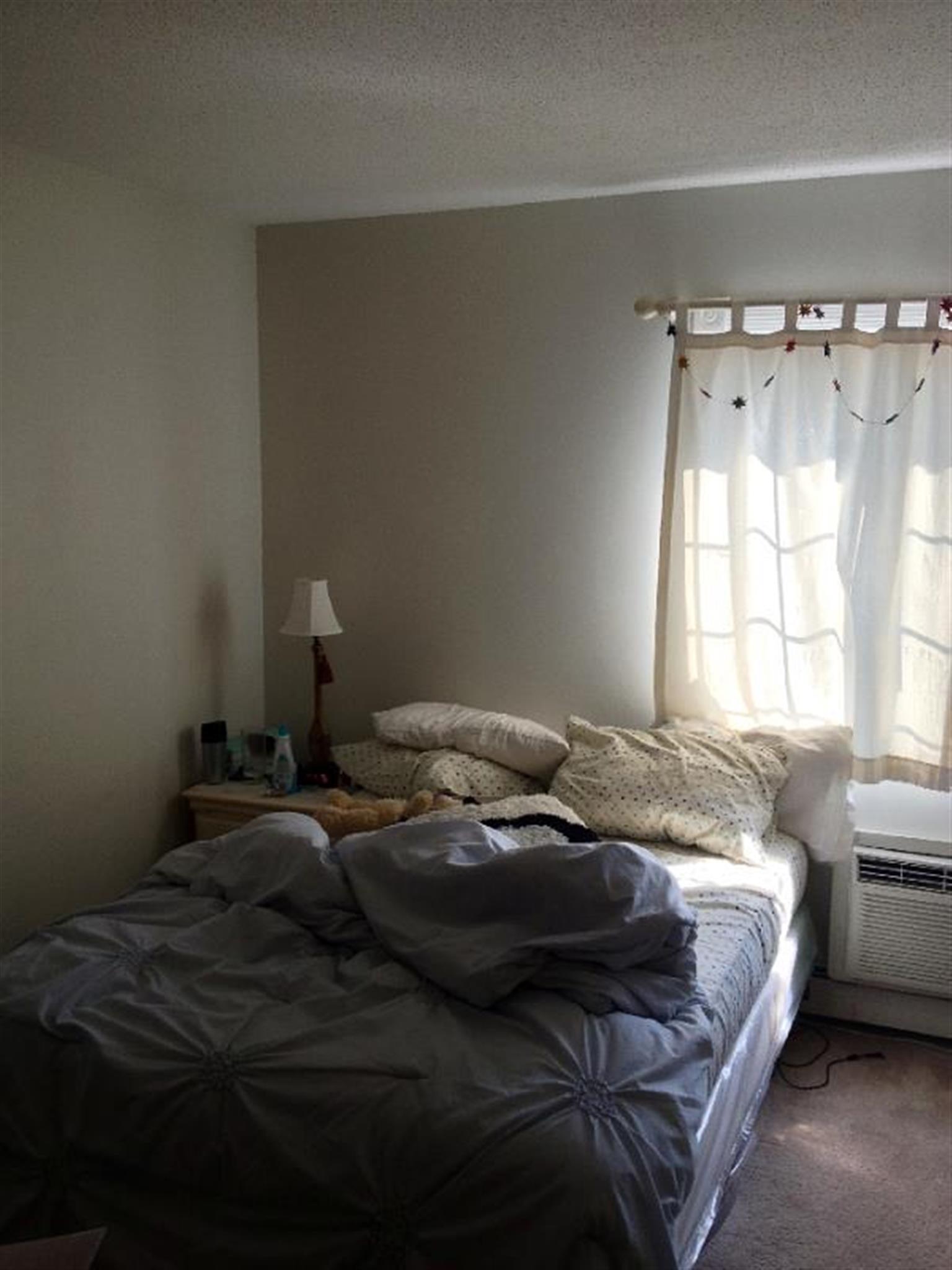 Studio bed, 1 bath apartment for rent at 474 Broadway Unit 36, Magoun Square — photo 6 of 10