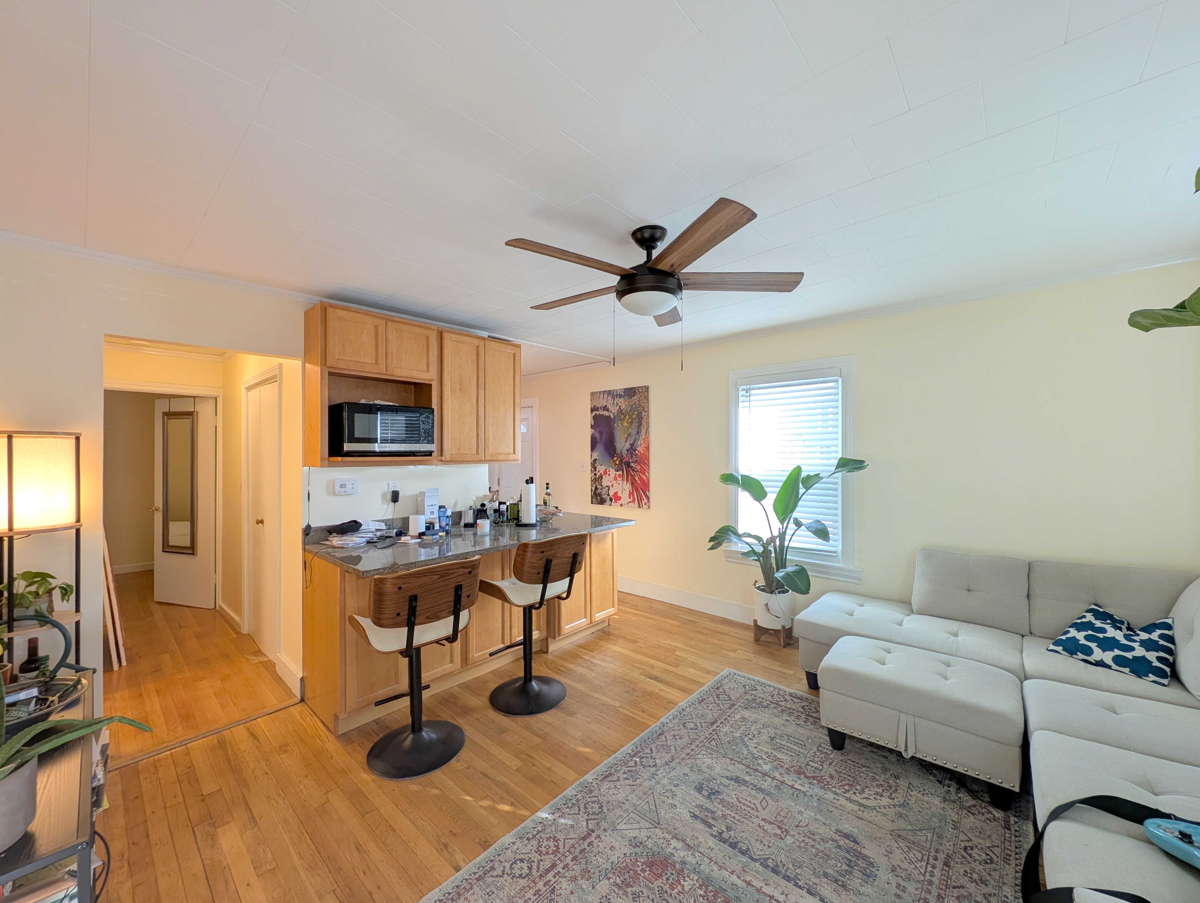 18 Union St, Wellington-Harrington