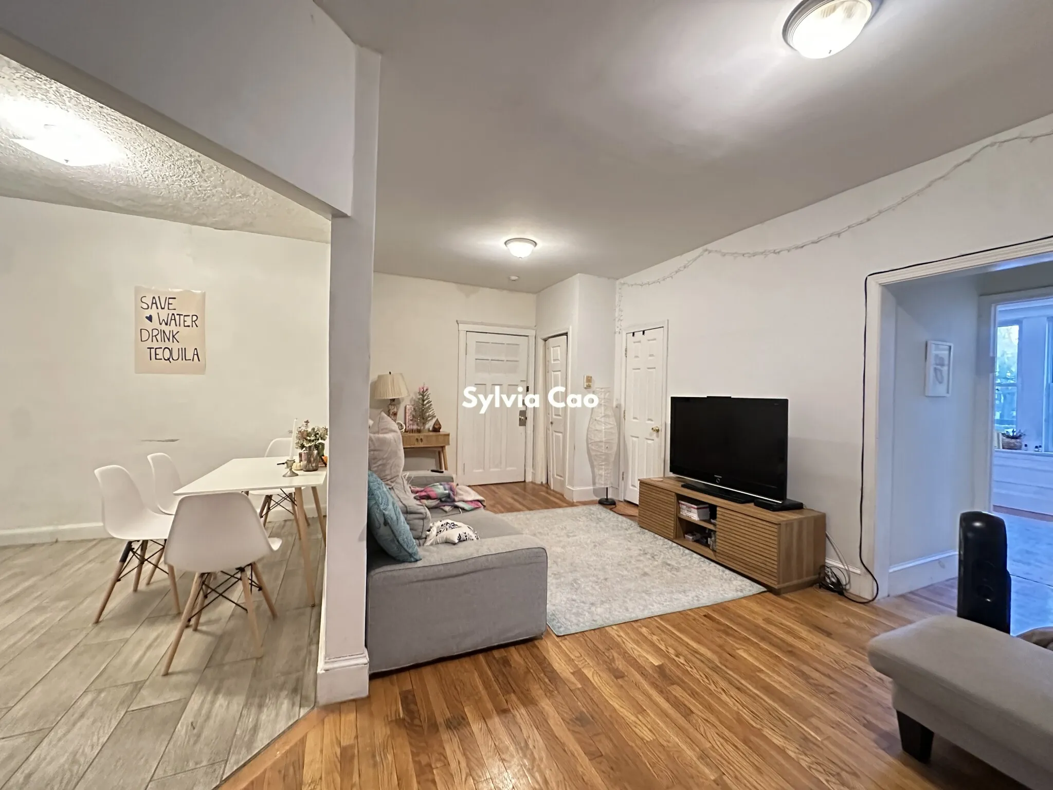 56 Egmont St, North Brookline