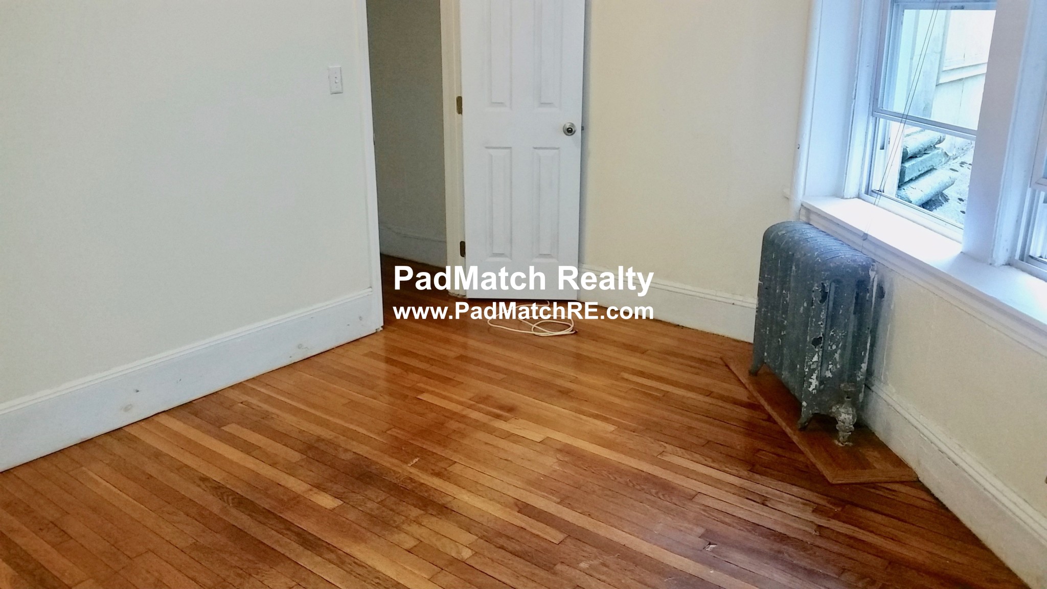 62 Egmont St, Longwood