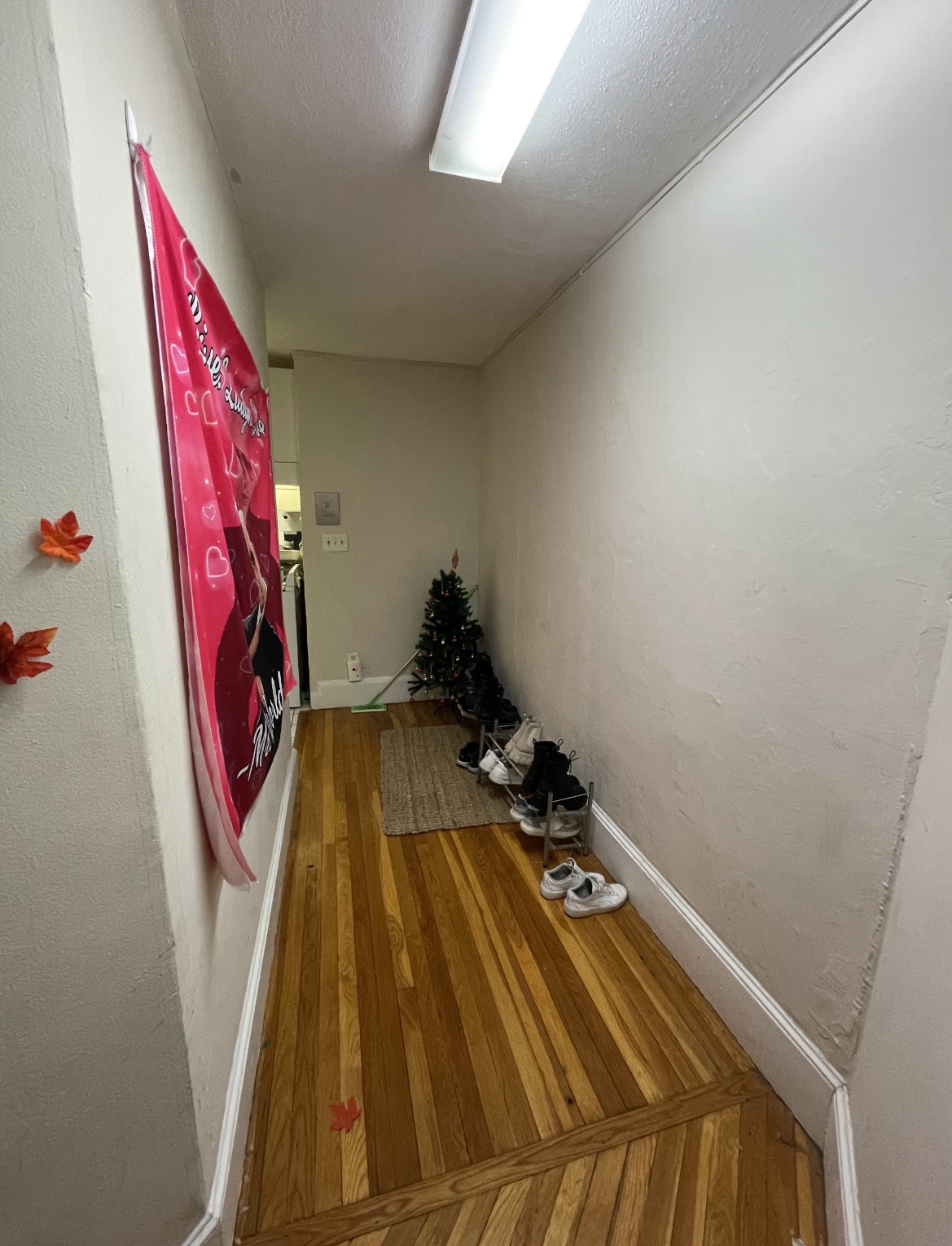 45 Westland Ave, Fenway