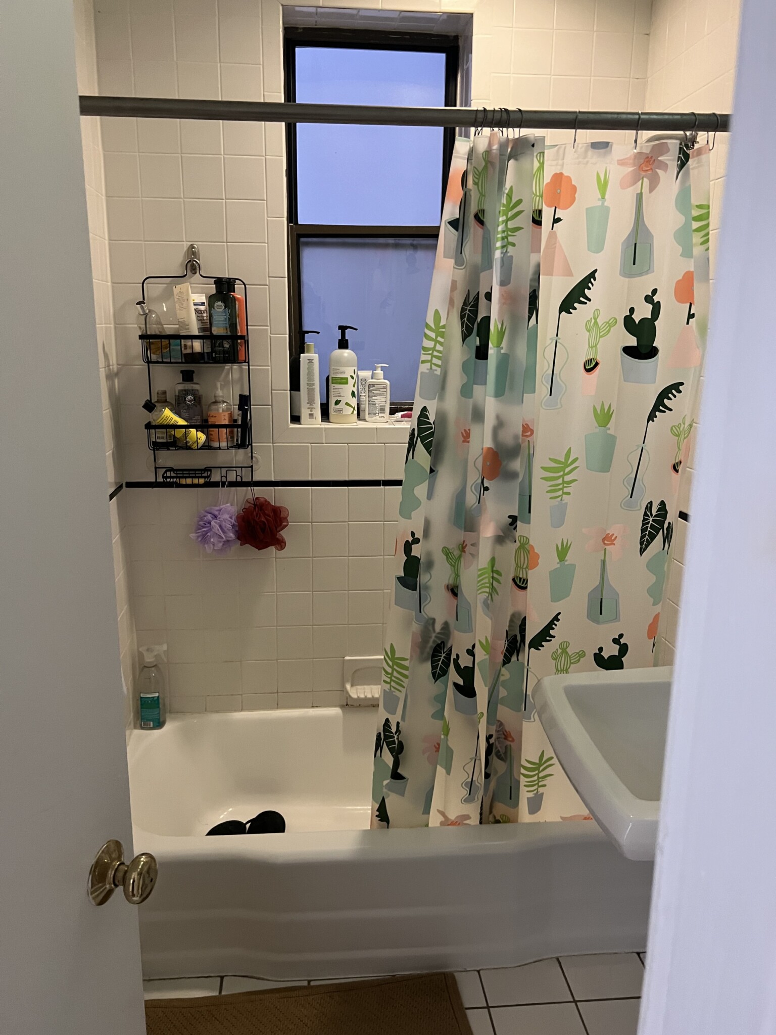 45 Westland Ave, Fenway