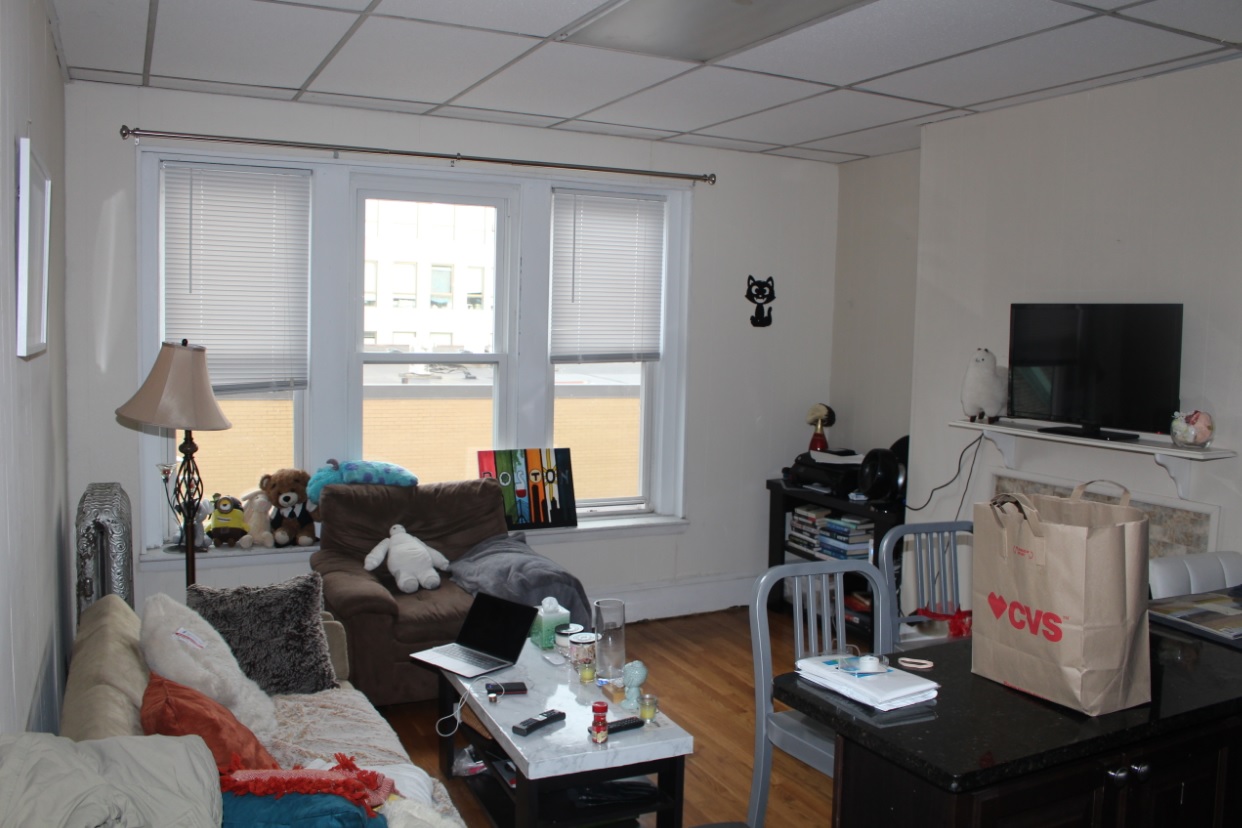 17 Aberdeen St, Fenway