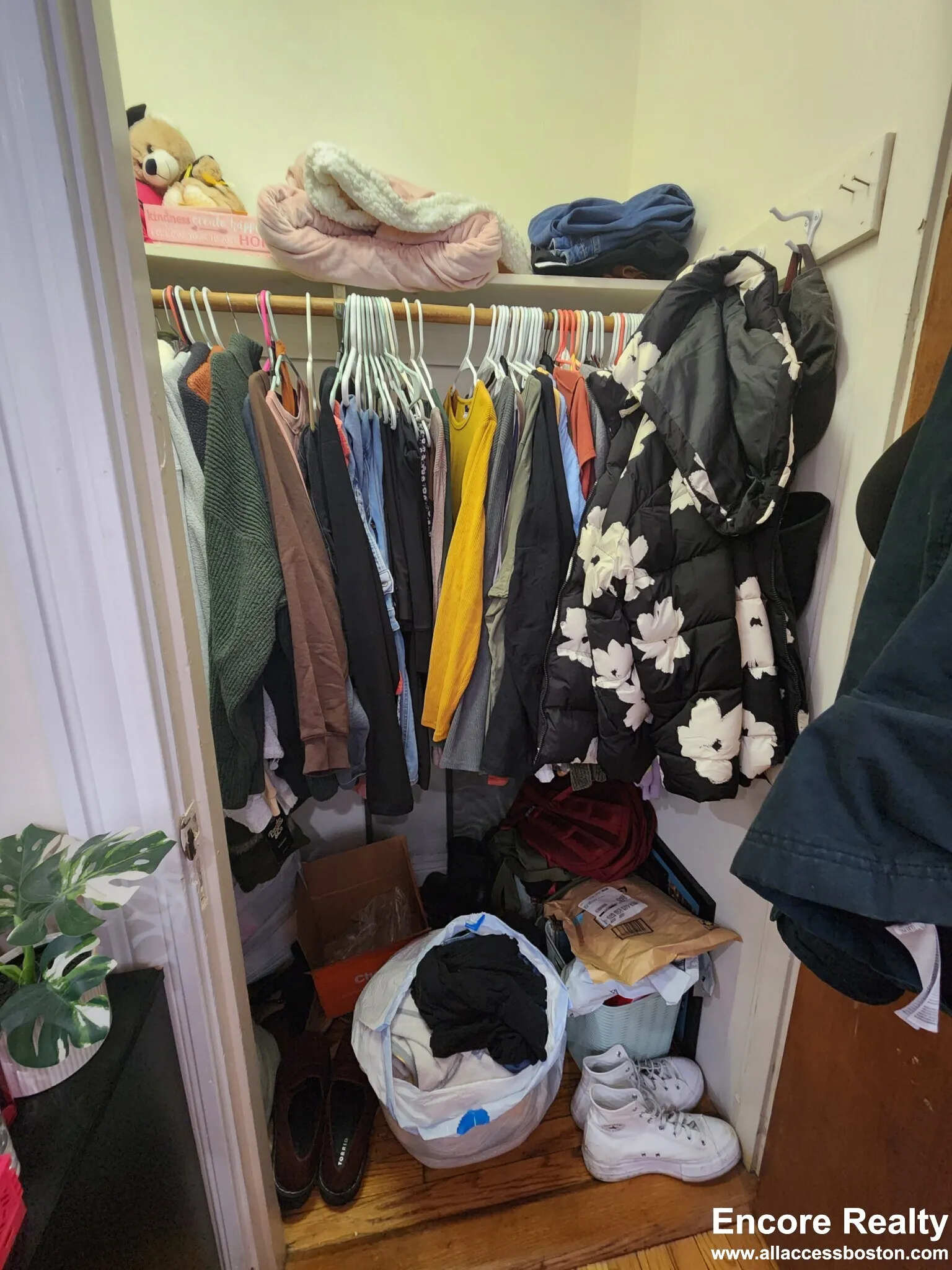 240 Kelton St, Brighton