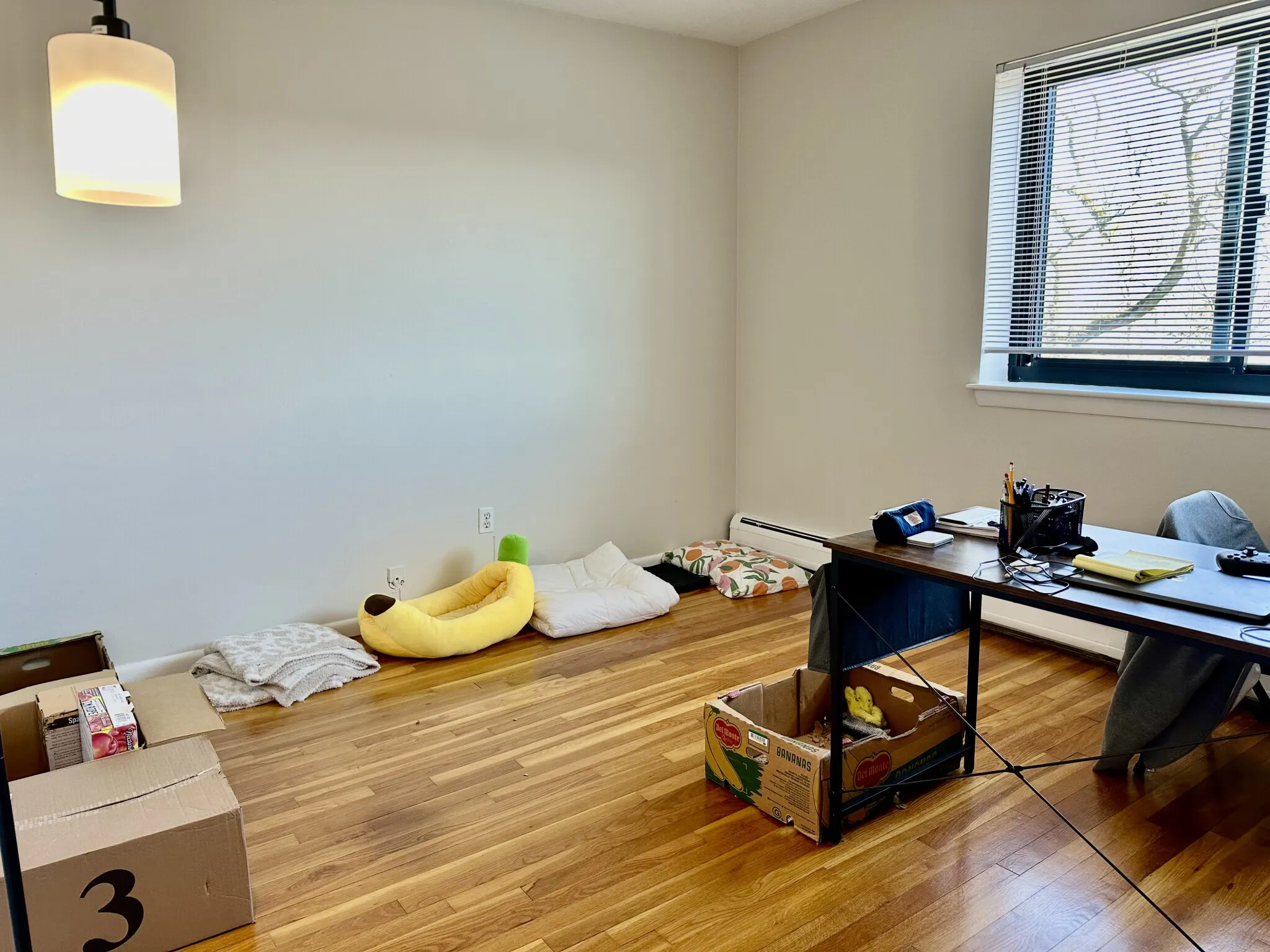 95 Sutherland Rd, Brighton