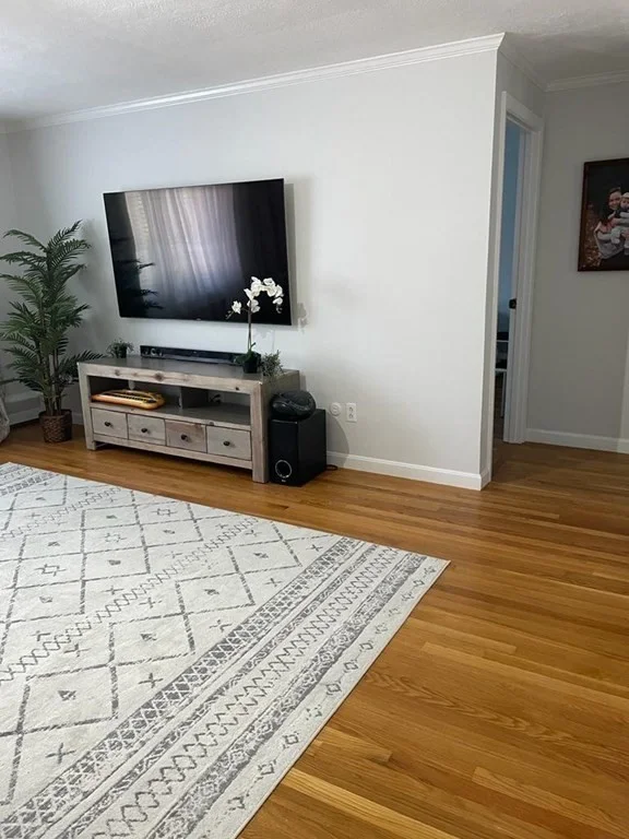 34 Bryon Rd, Chestnut Hill