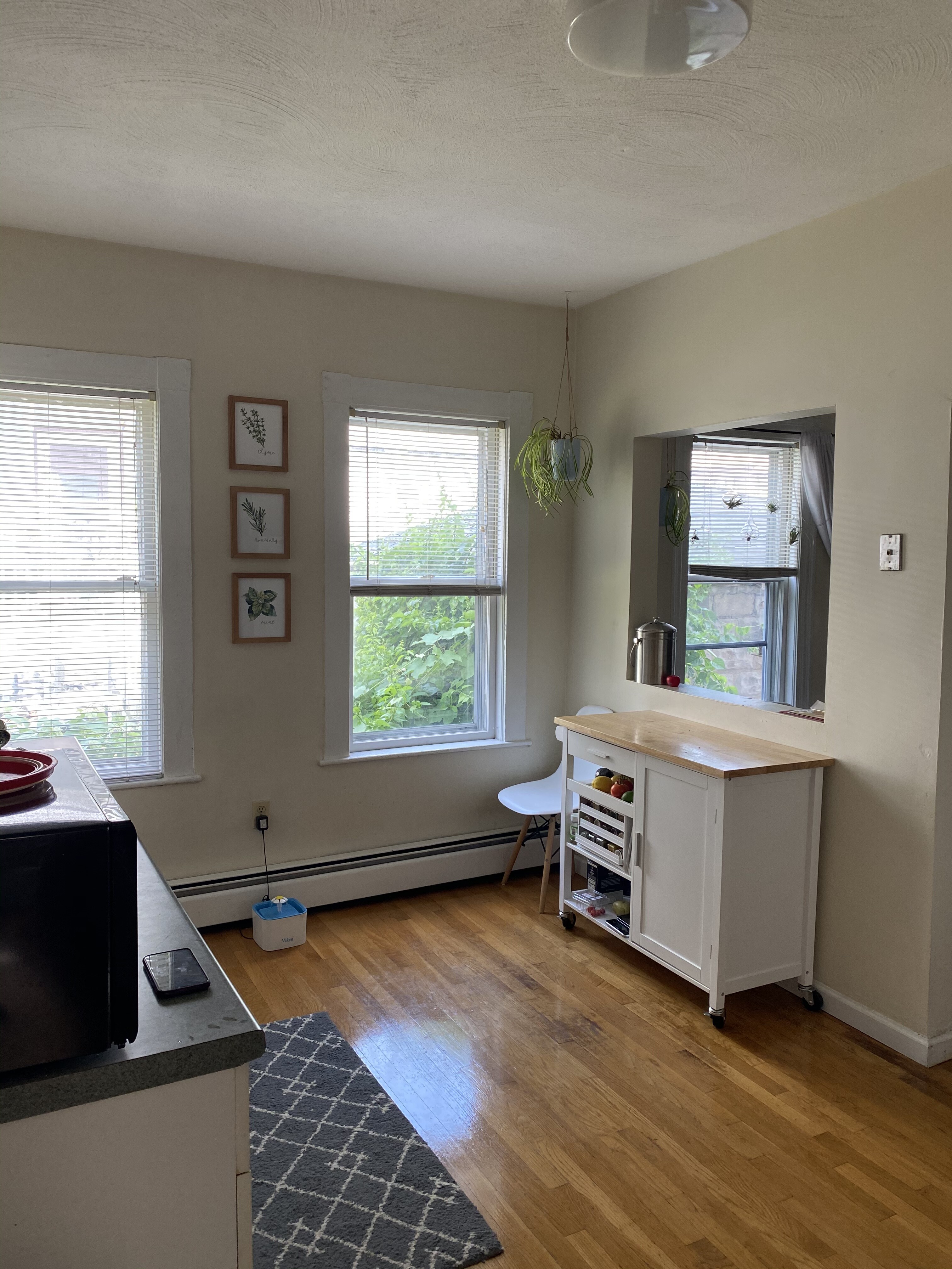 66 Morton Ave, South Medford