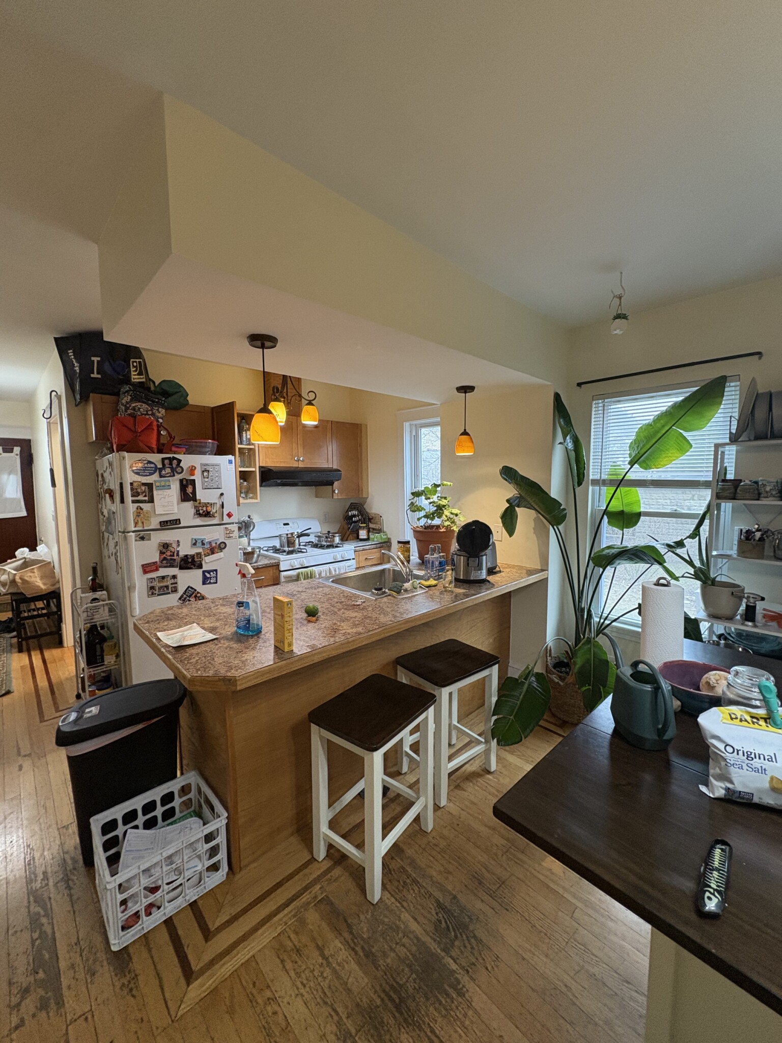 28 Cherry St, Spring Hill